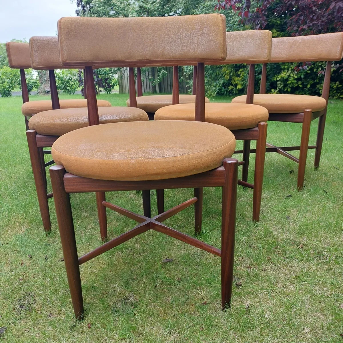 Mid Century G Plan Fresco Disc Dining Room Chairs - Image 1