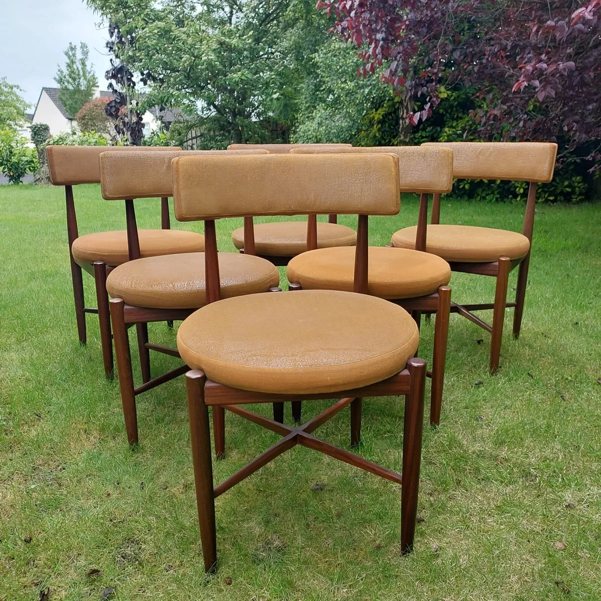 Mid Century G Plan Fresco Disc Dining Room Chairs - Image 4