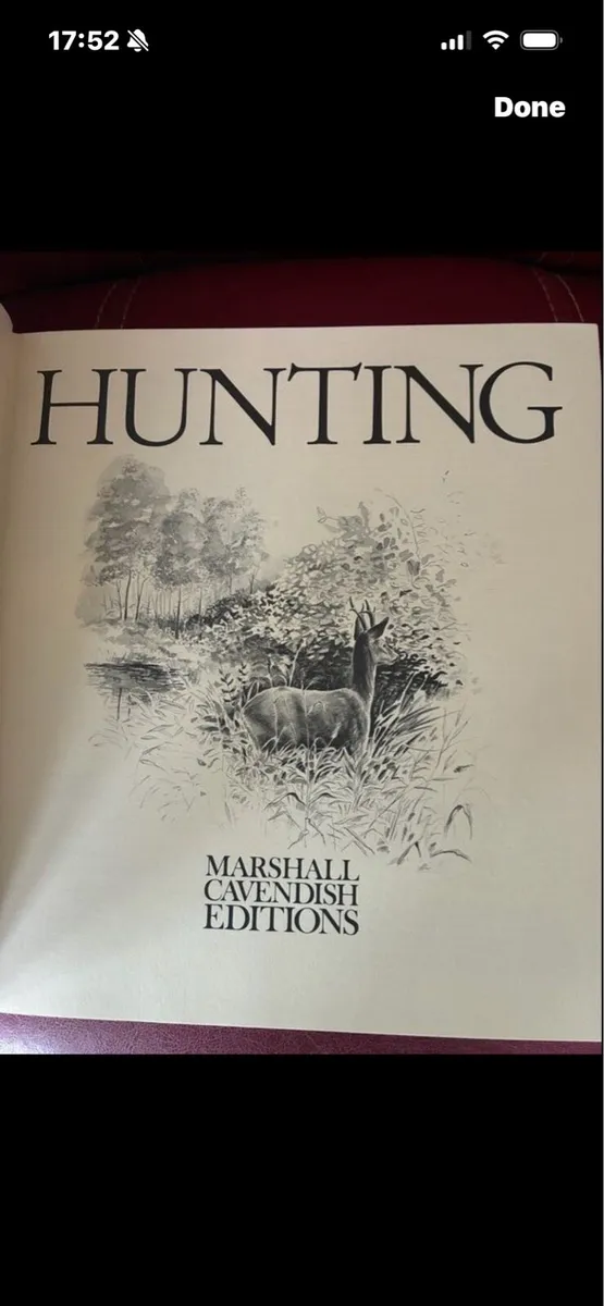 Hunting - Image 2