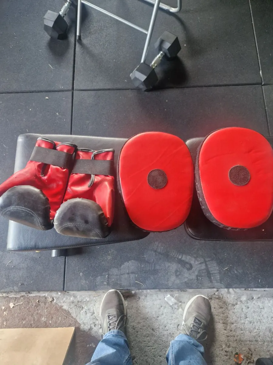 Boxing bag - Image 1