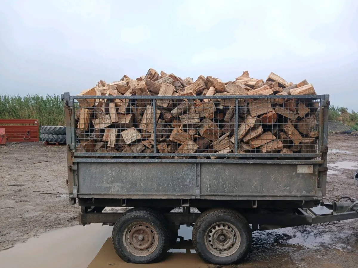 Firewood - Image 2