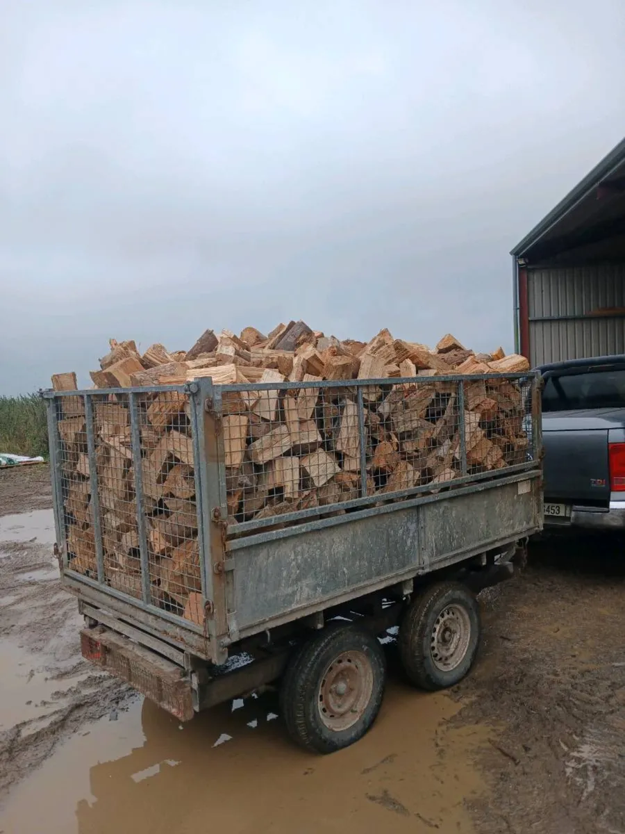 Firewood - Image 3