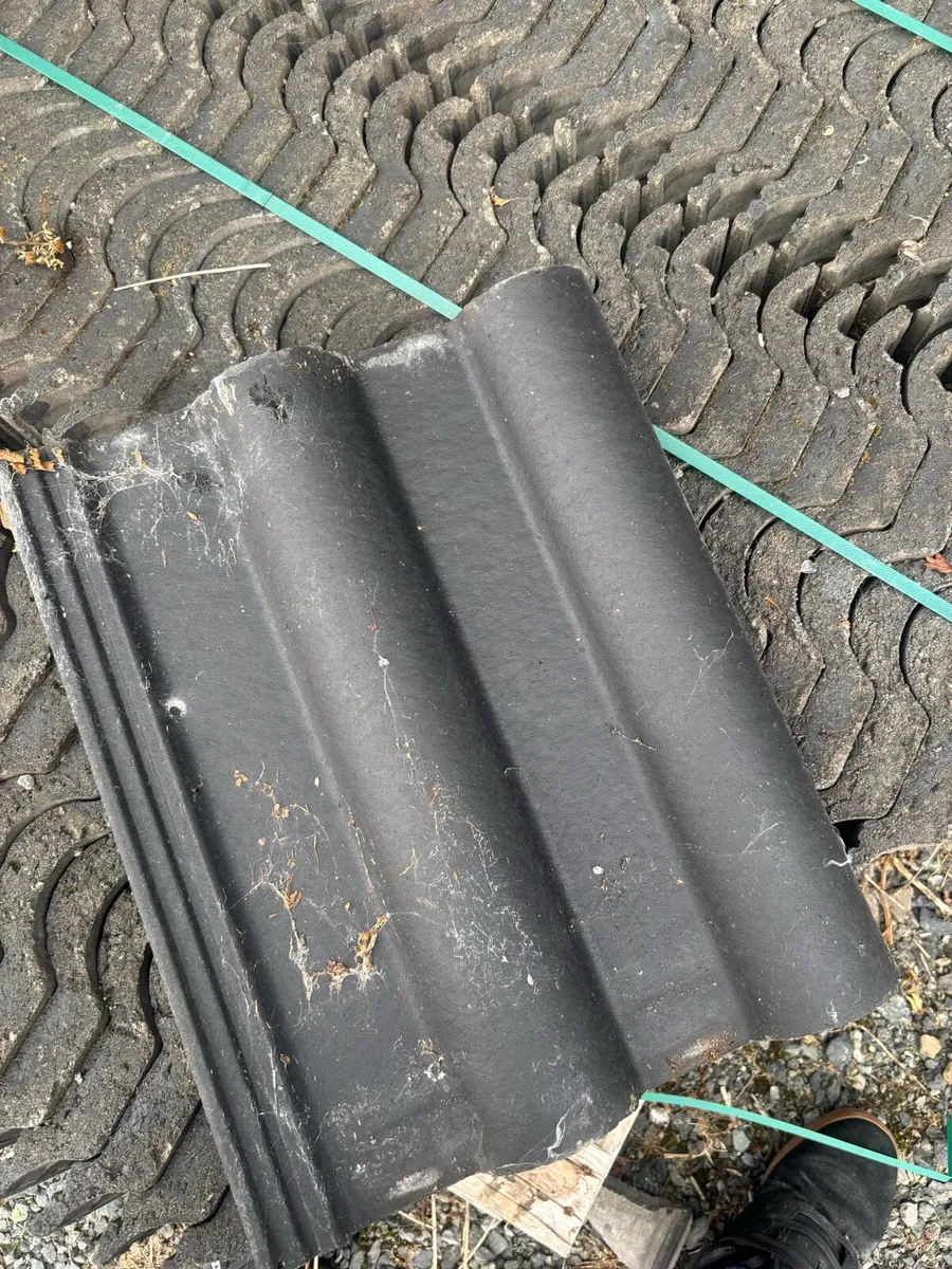 Derrie Roof tiles - Image 1