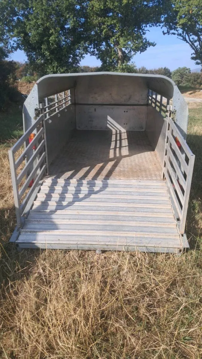 Ifor Williams - Image 1