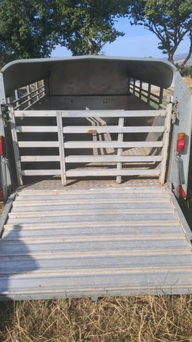 Ifor Williams - Image 2
