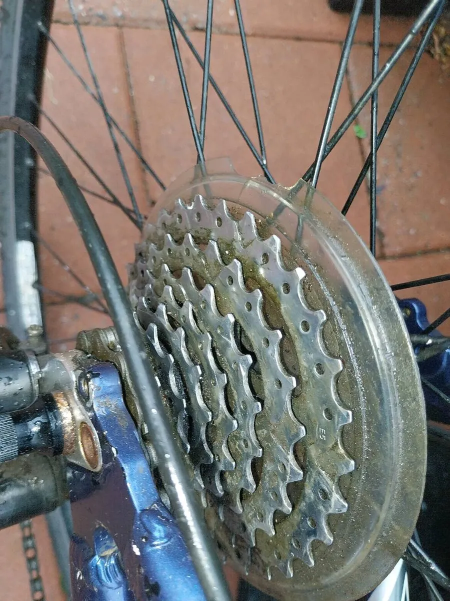 Trek hybrid serviced - Image 3