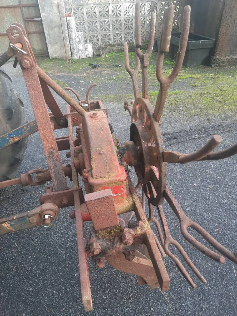 Potato digger Potato spinner - Image 4