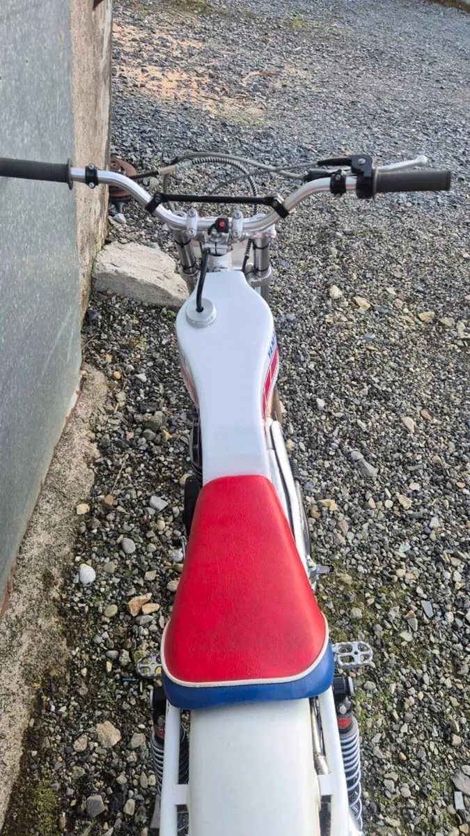 Yamaha TY 250 Majesty 1979 - Image 4
