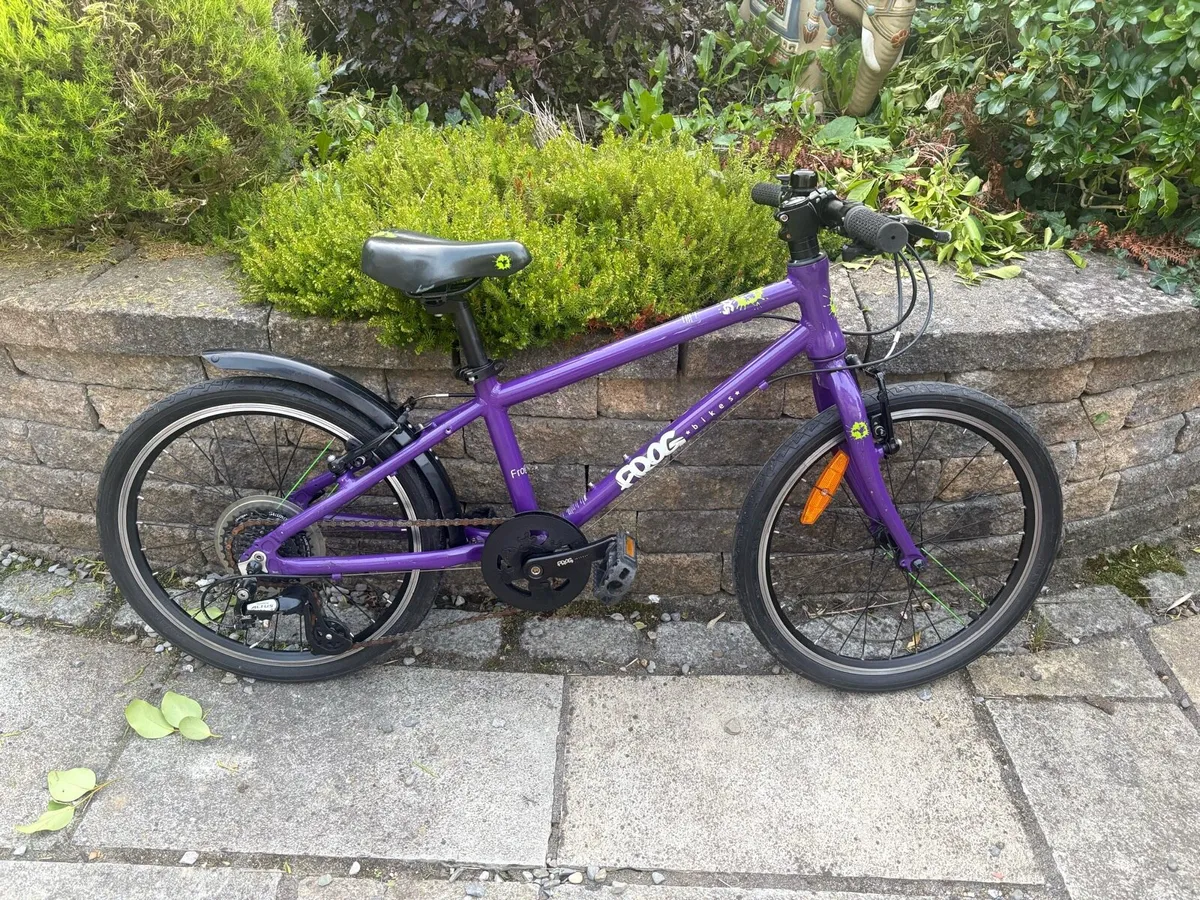 Frog 55 Kids Bike