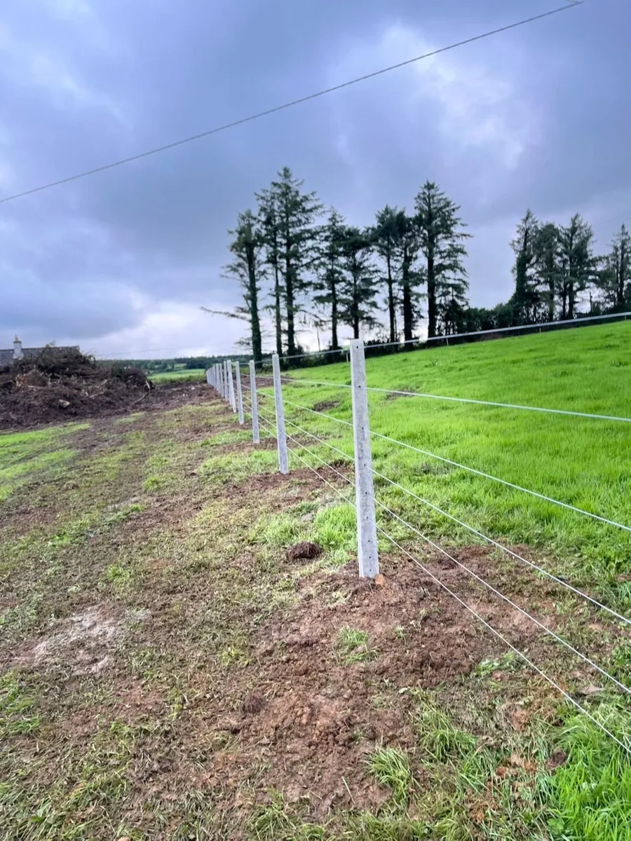 Fencing Contractor - Image 2