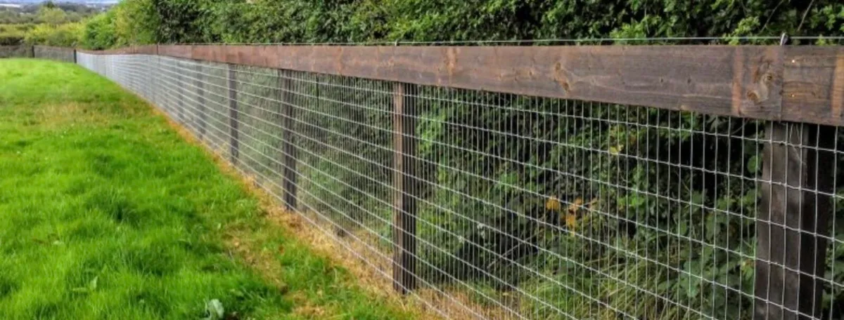 Fencing Contractor - Image 3