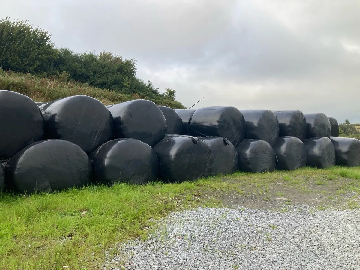 Silage bales - Image 1