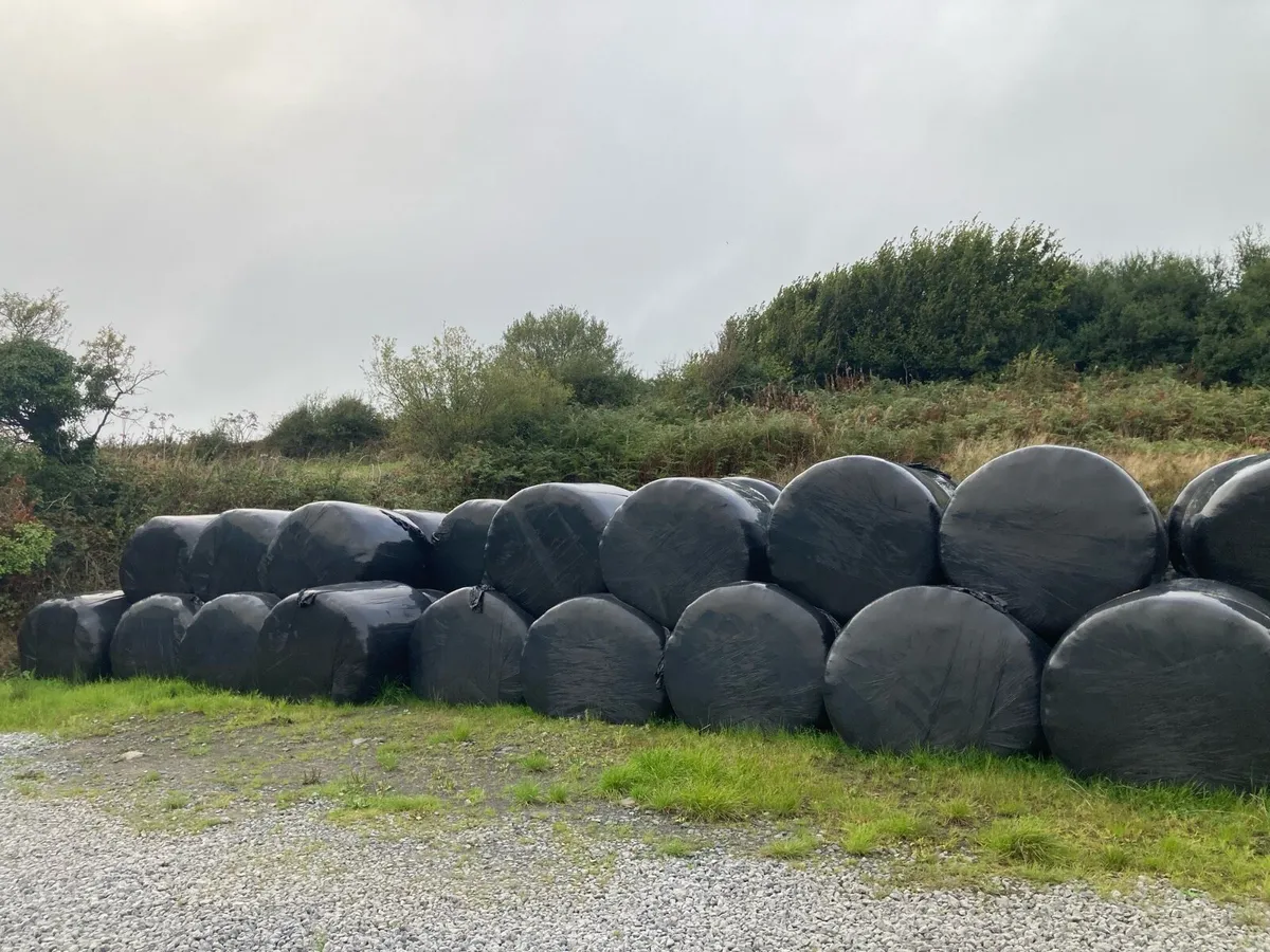 Silage bales - Image 2