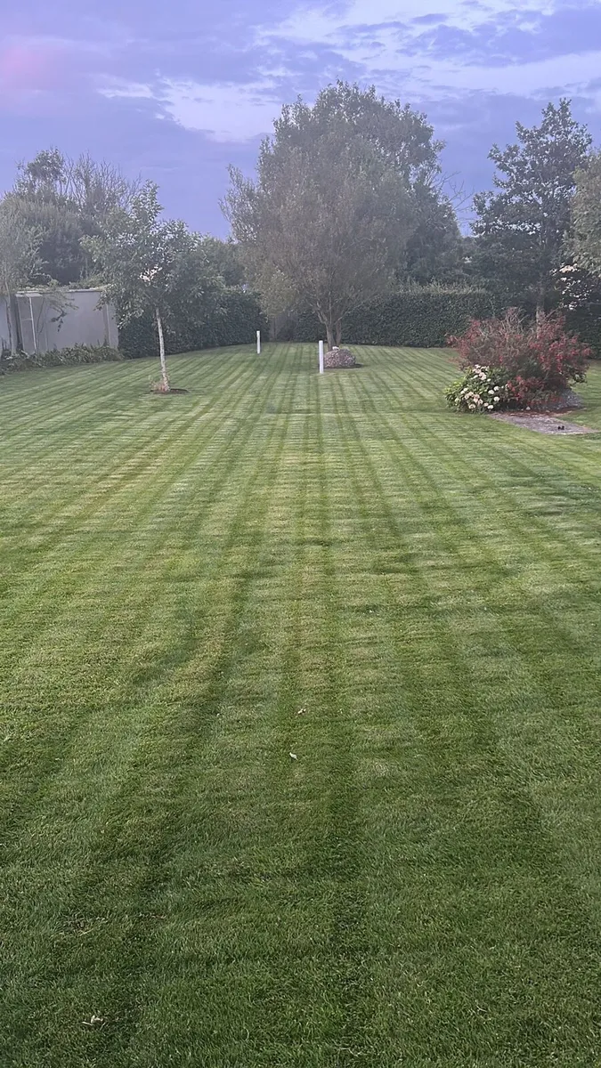 Luba 3 lawnmower - warranty remaining - Image 1