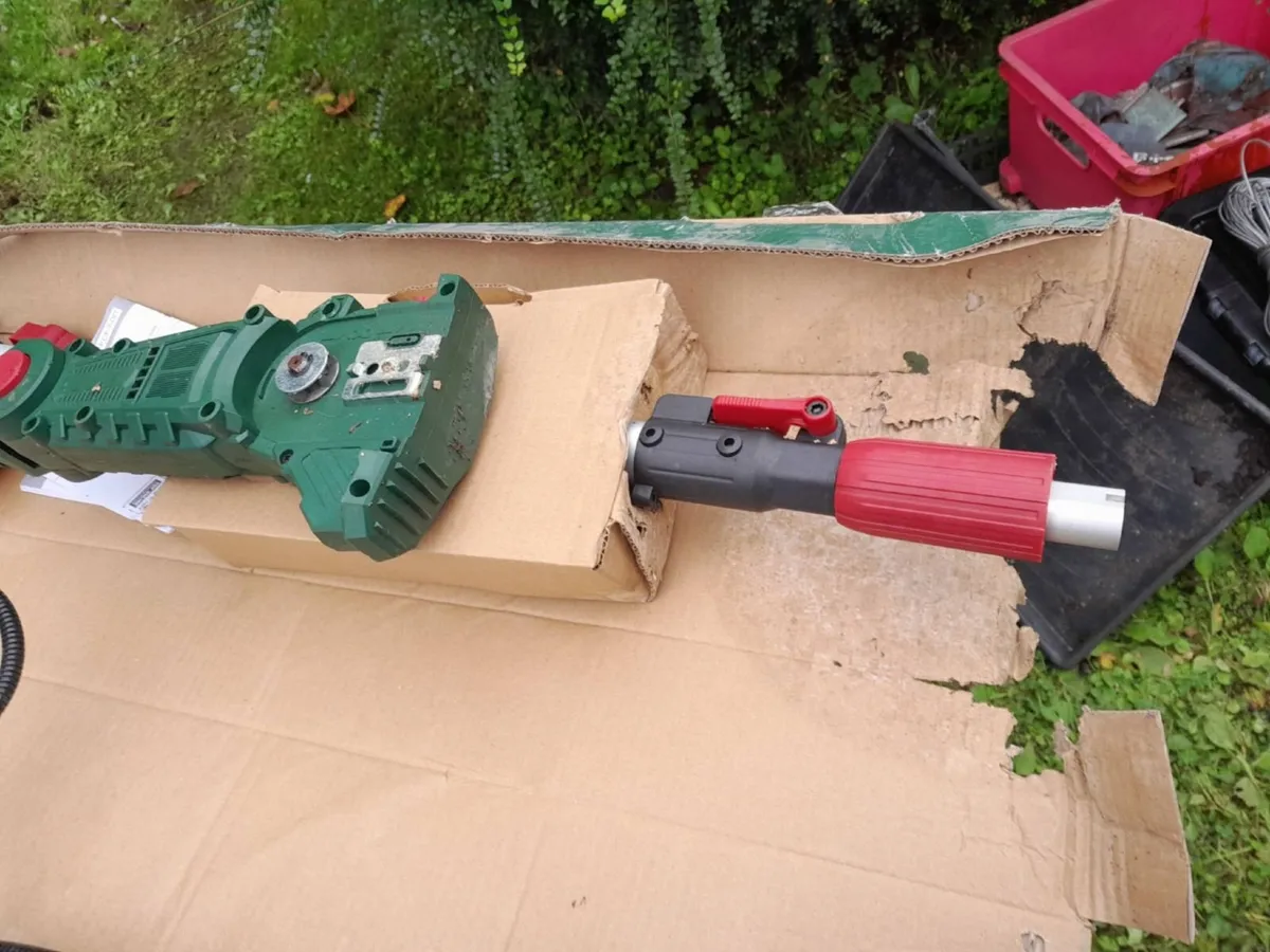 Chainsaw, extendable branch cutter and Strimmer - Image 3