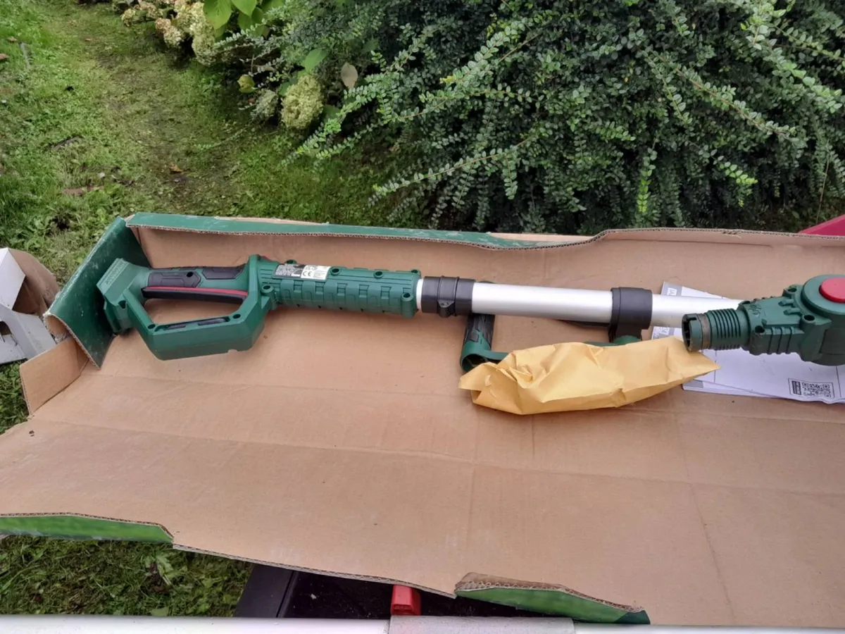 Chainsaw, extendable branch cutter and Strimmer - Image 4