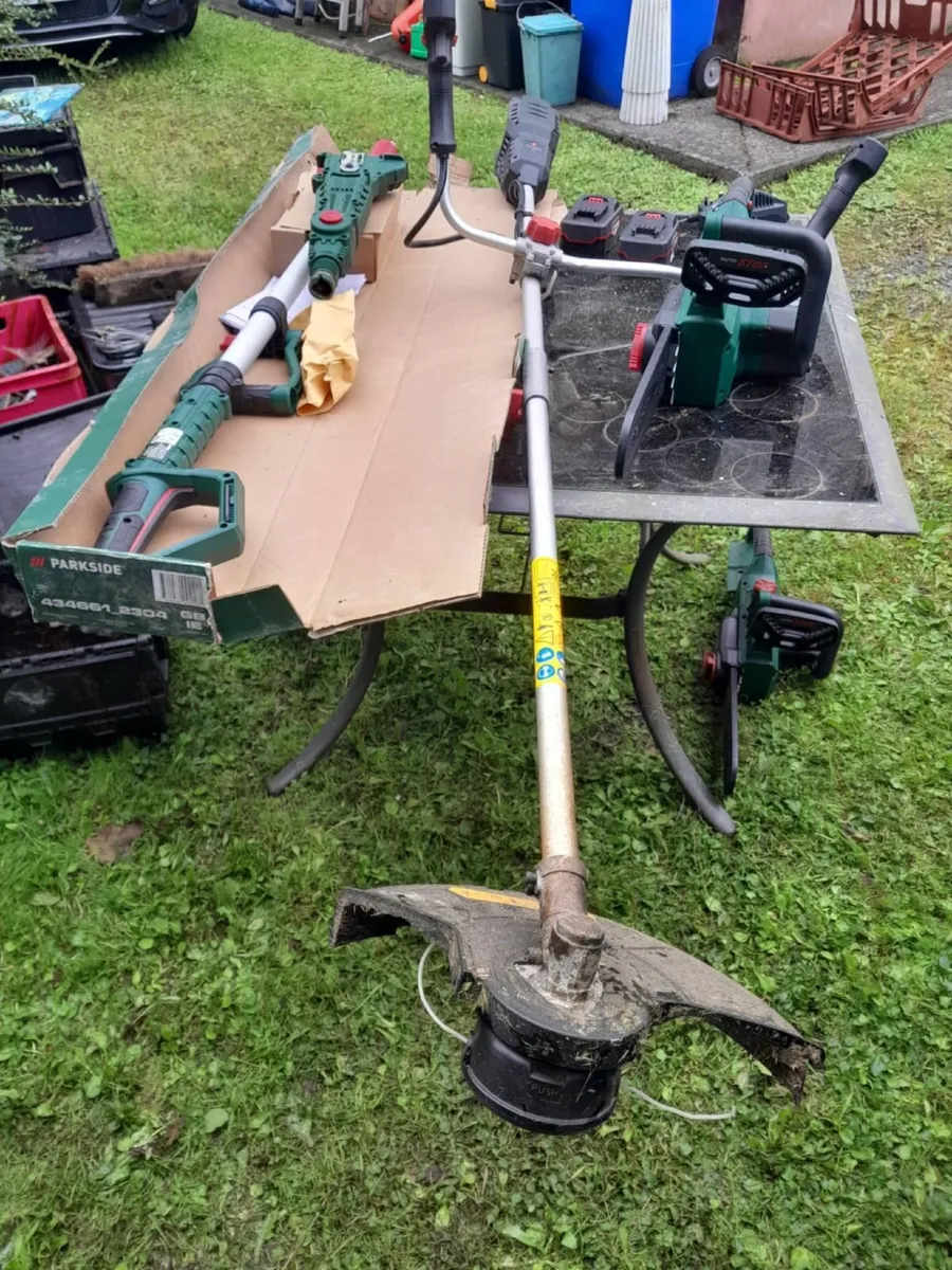 Chainsaw, extendable branch cutter and Strimmer - Image 1