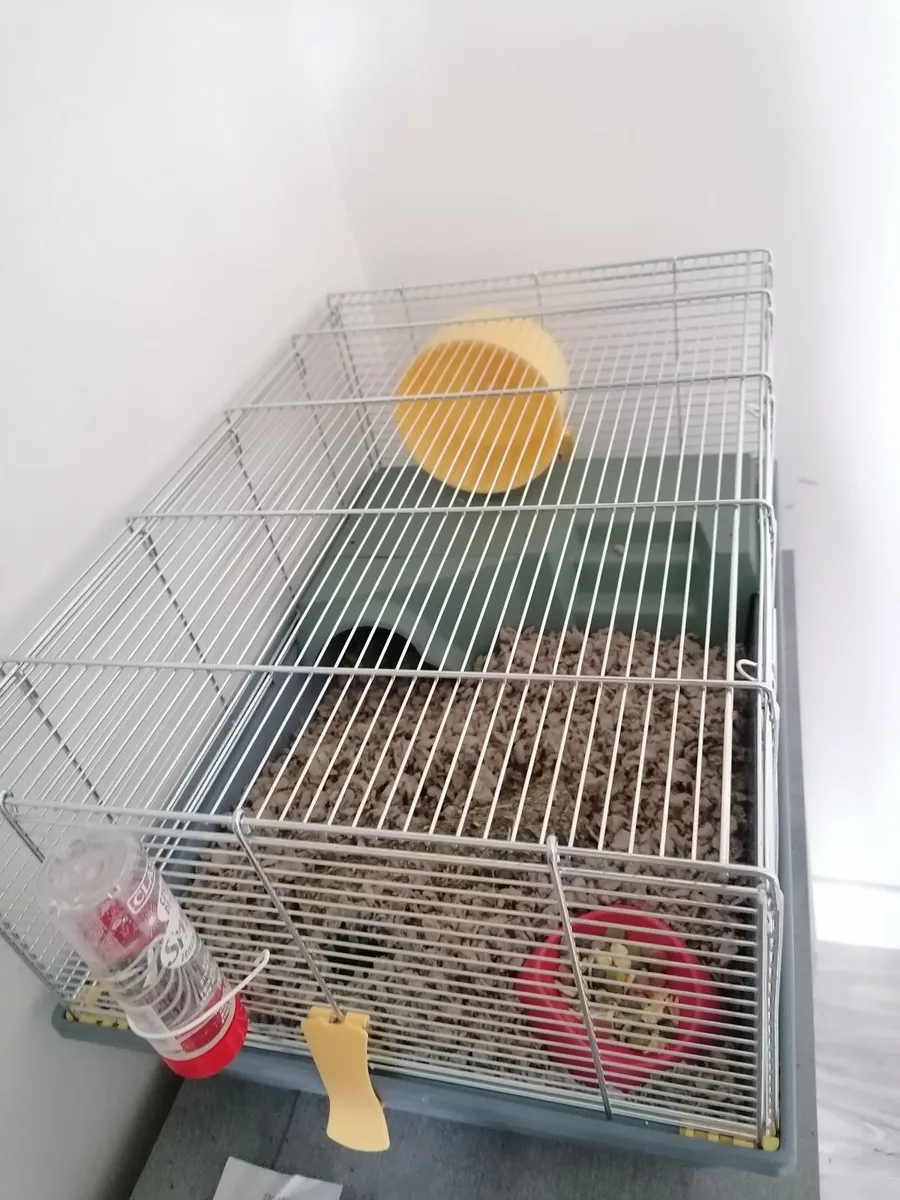 Hamster cage - Image 1