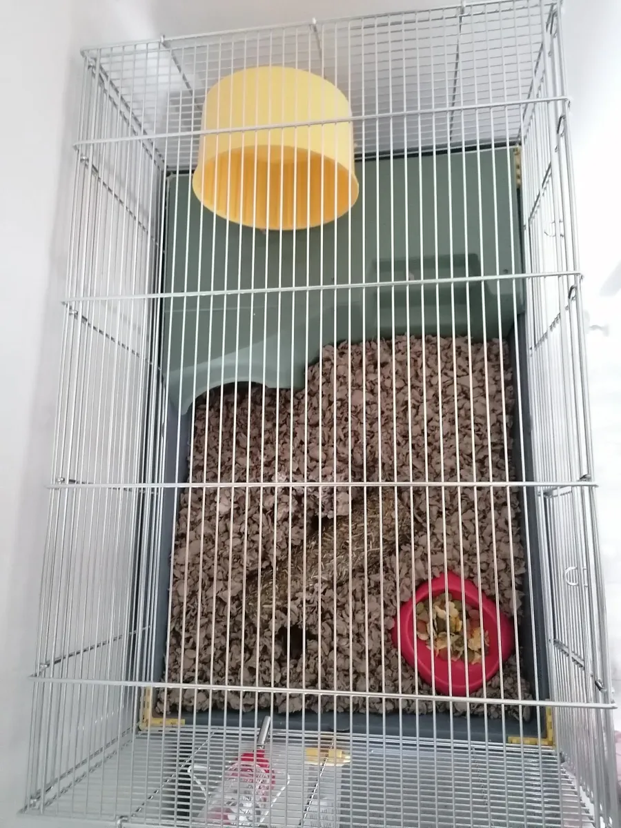 Hamster cage - Image 2