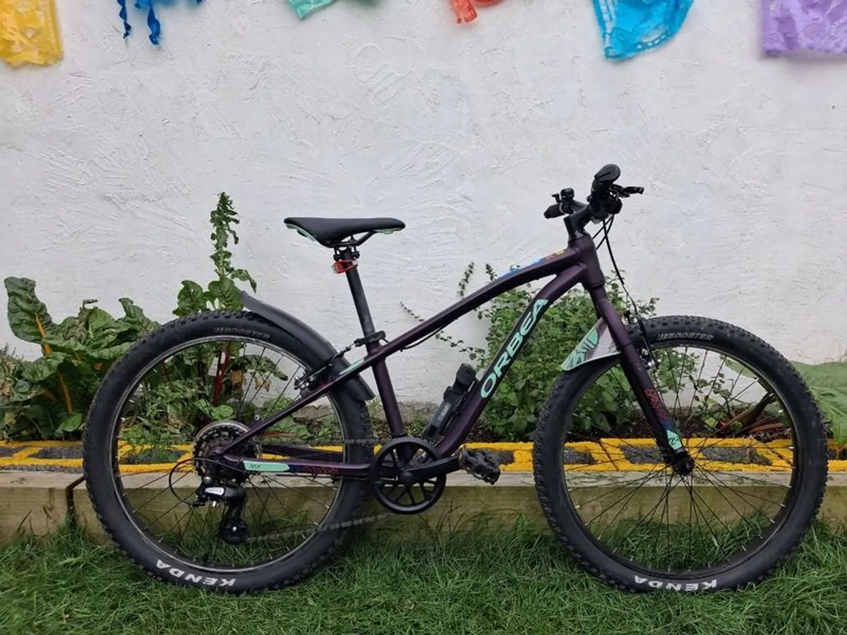Mountain Bike - Orbea Mx24 Dirt - Image 1
