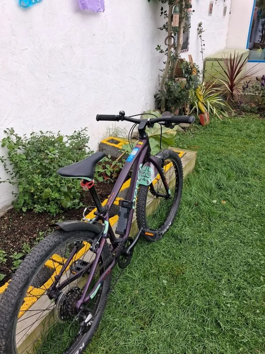 Mountain Bike - Orbea Mx24 Dirt - Image 2