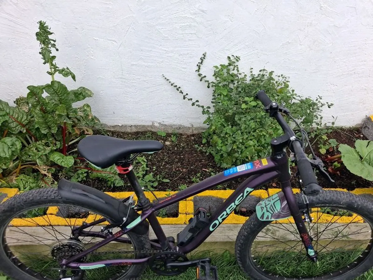 Mountain Bike - Orbea Mx24 Dirt - Image 3
