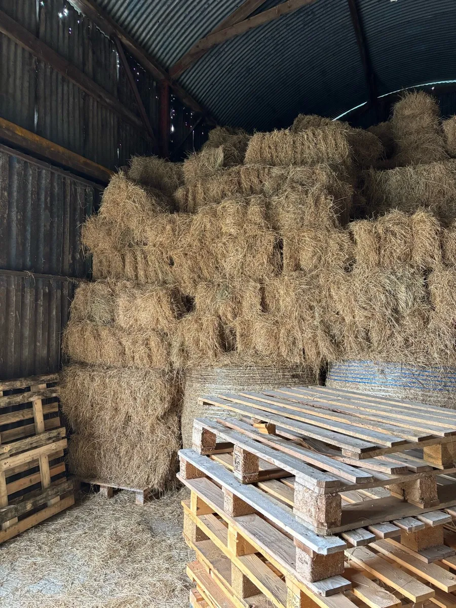 Hay