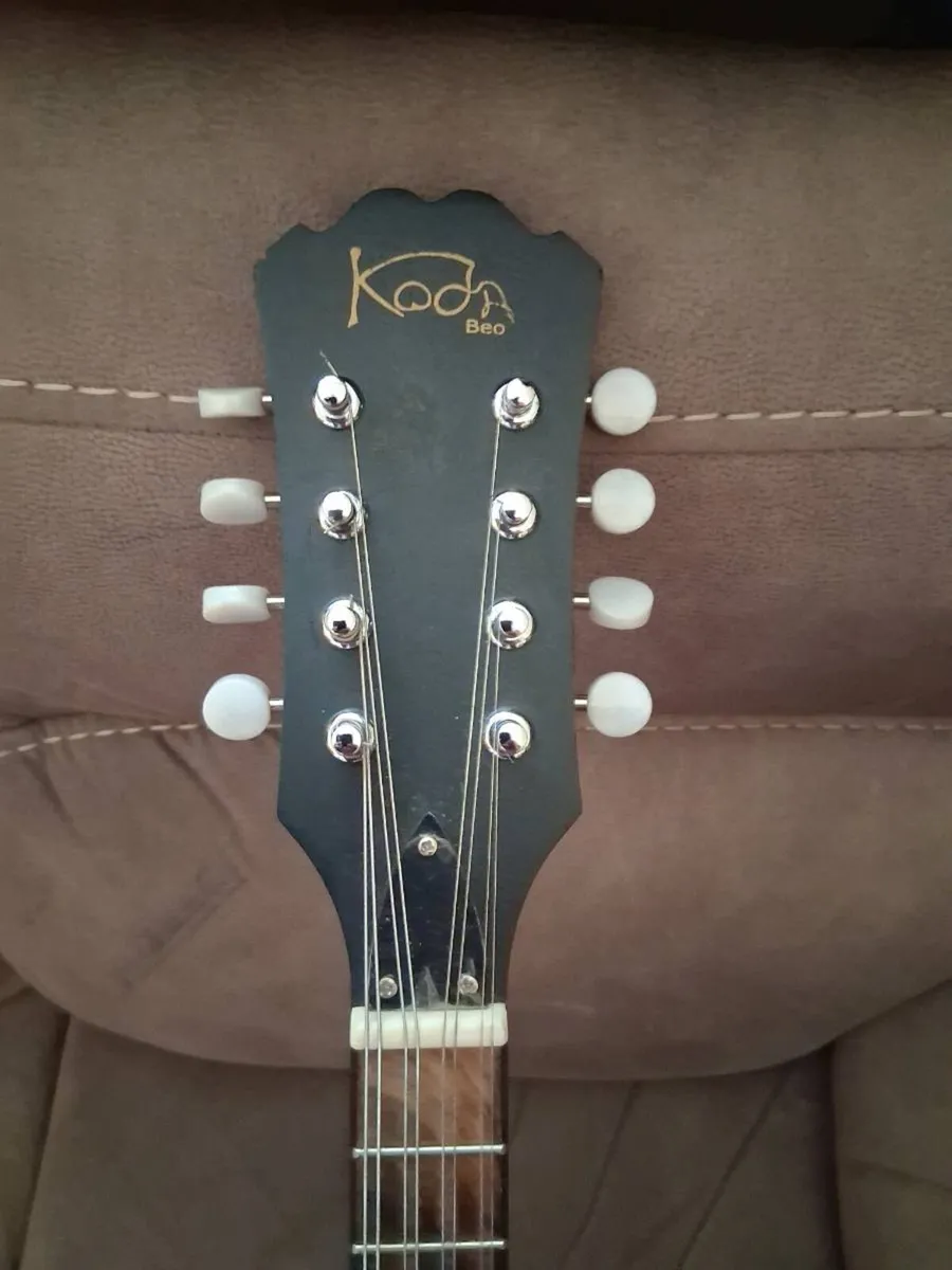 Mandola - Image 2