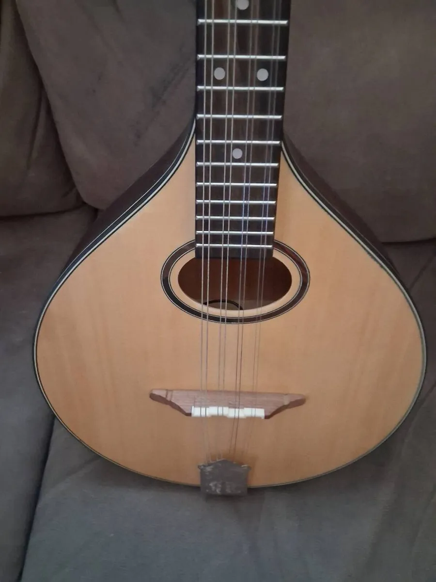 Mandola - Image 3