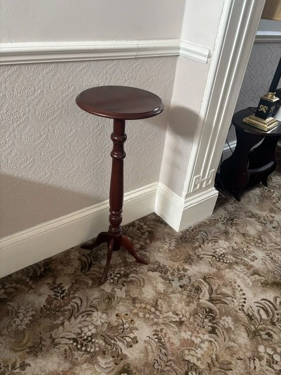 Mahogany Plant Table - Image 2