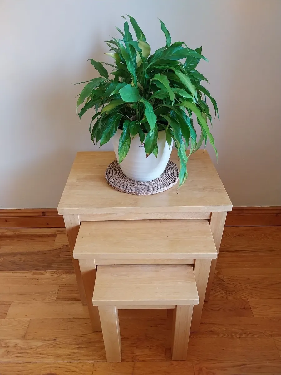 Nest Of Tables (3 Tables) - Solid Wood - Image 3