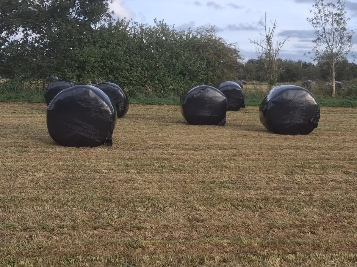 Silage bales - Image 3