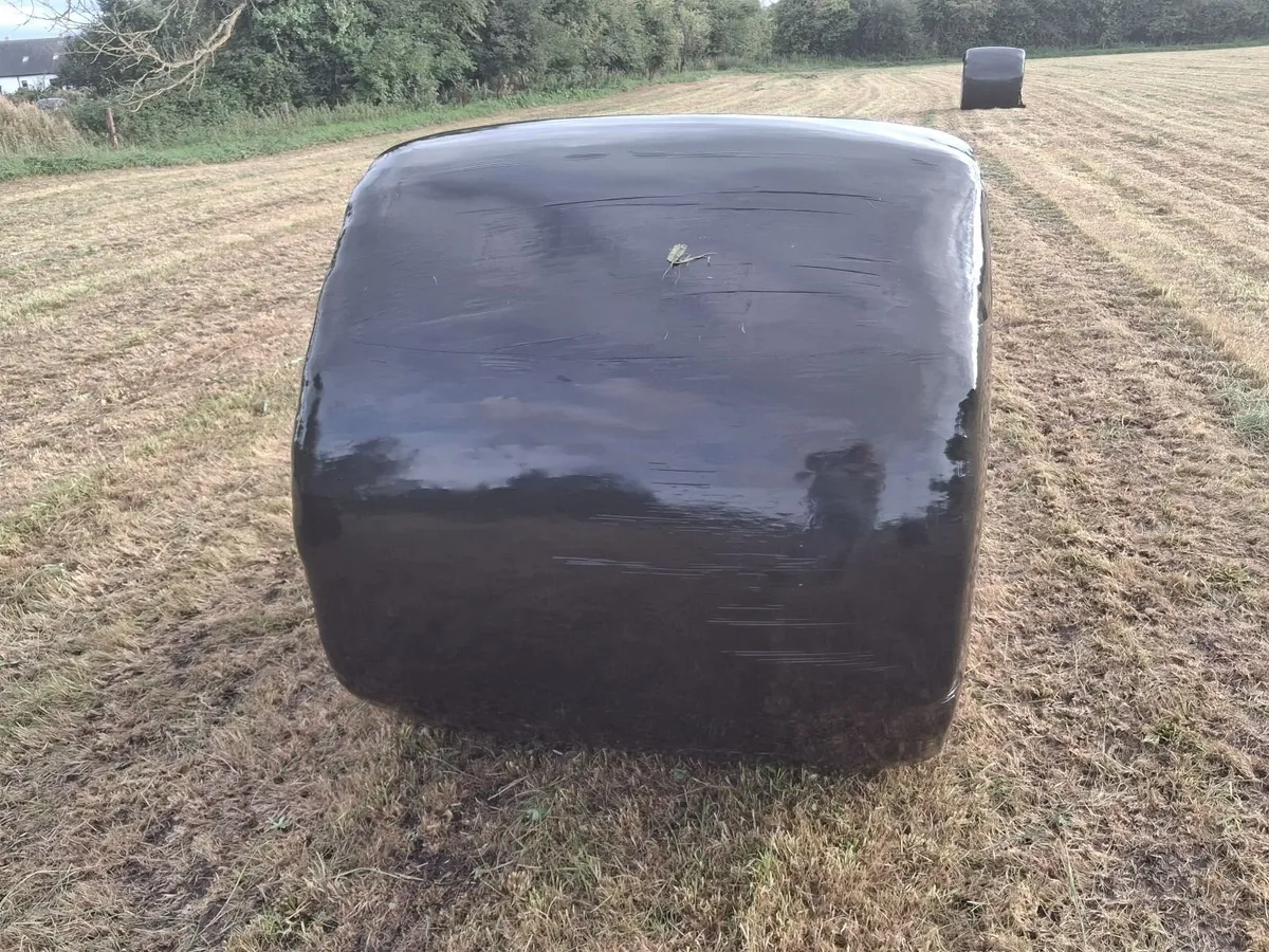 Silage bales - Image 4