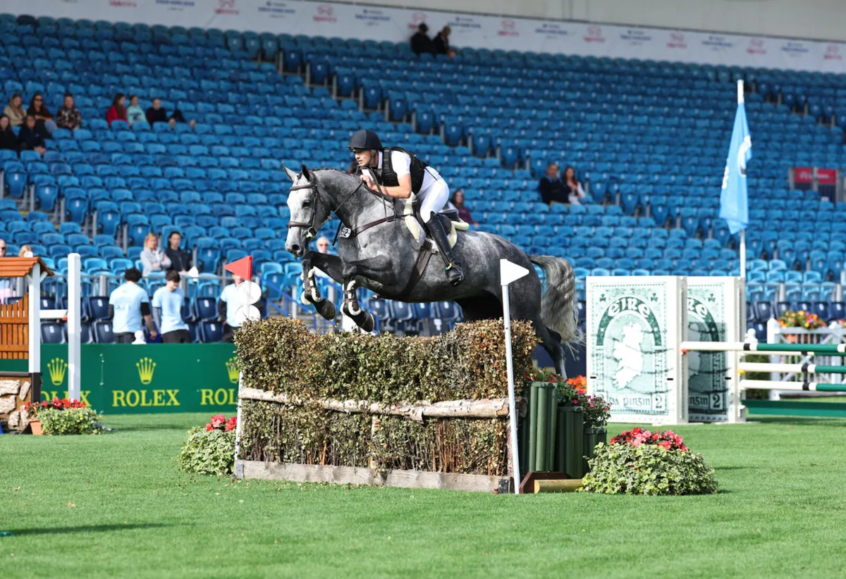 Top prospect show jumper/eventer - Image 1