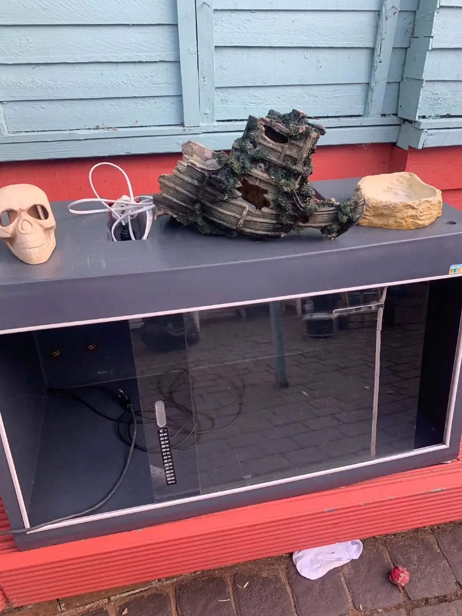 Reptile Tank - Image 1