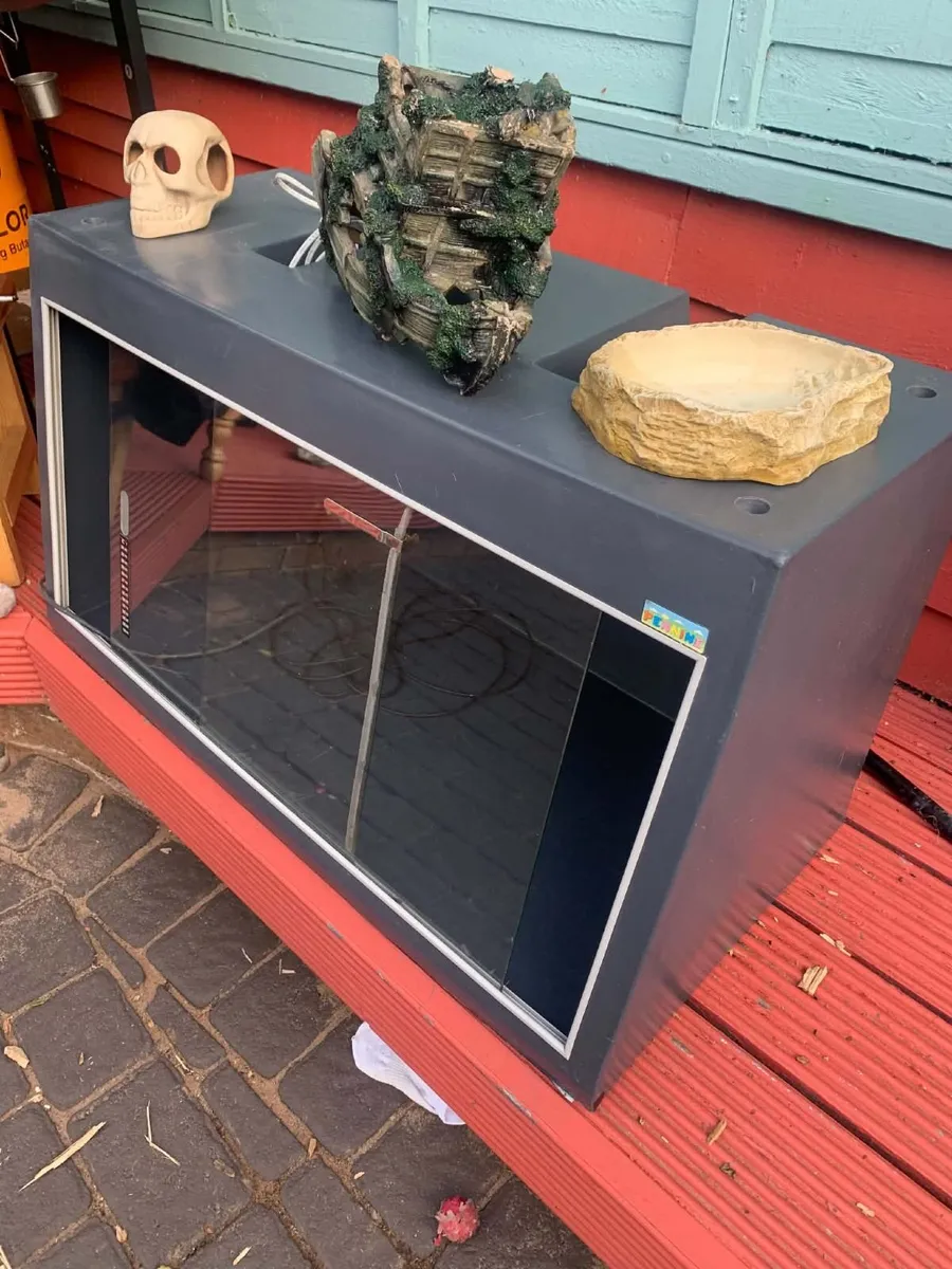 Reptile Tank - Image 2