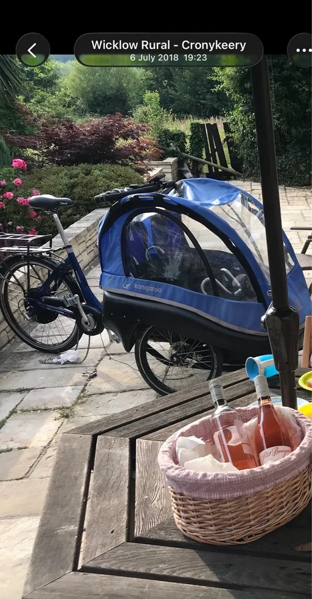 Winther electric Kangaroo Cargo bikes x 2 - Image 1