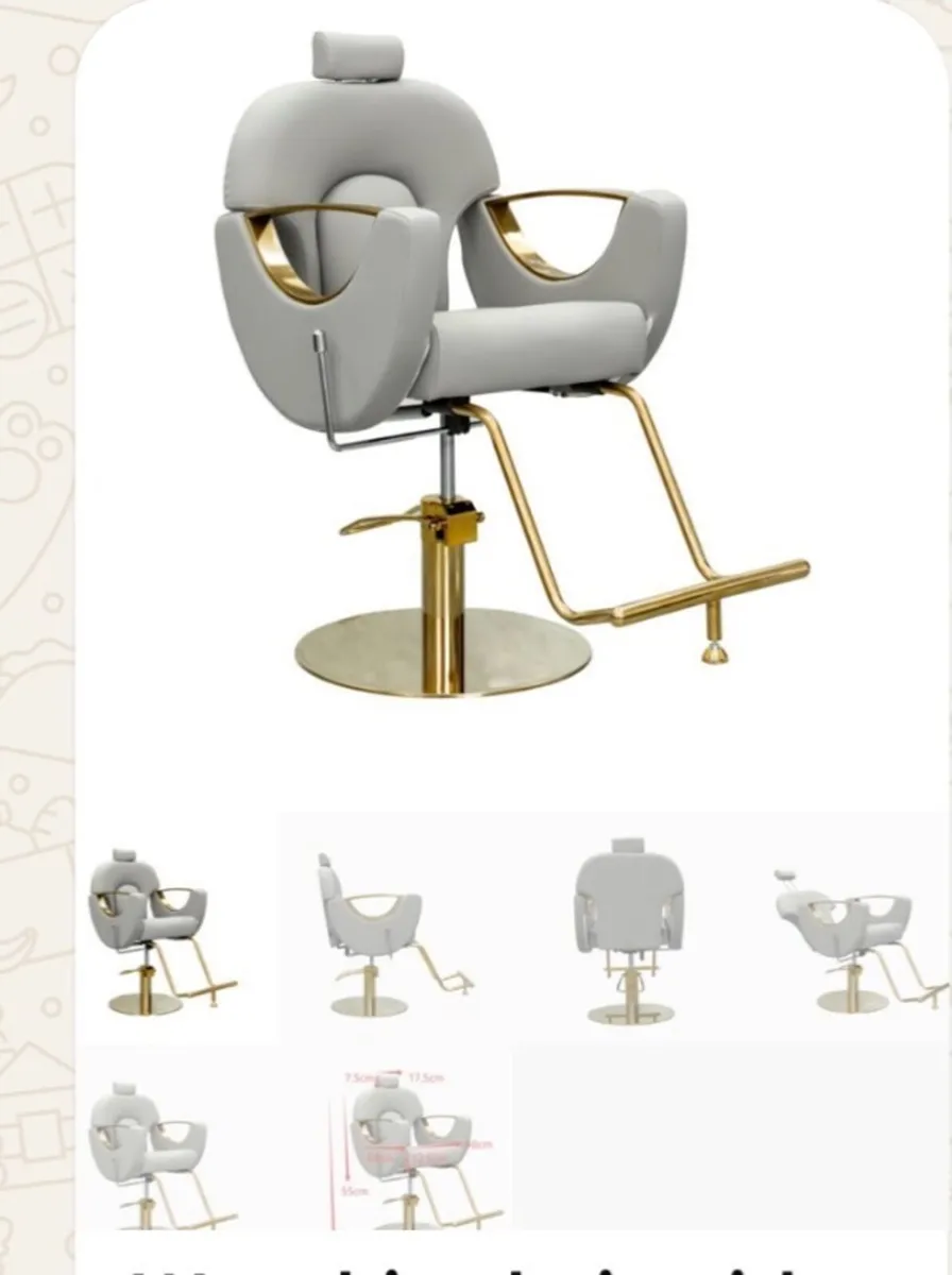 Salon chair and mirror - Image 2