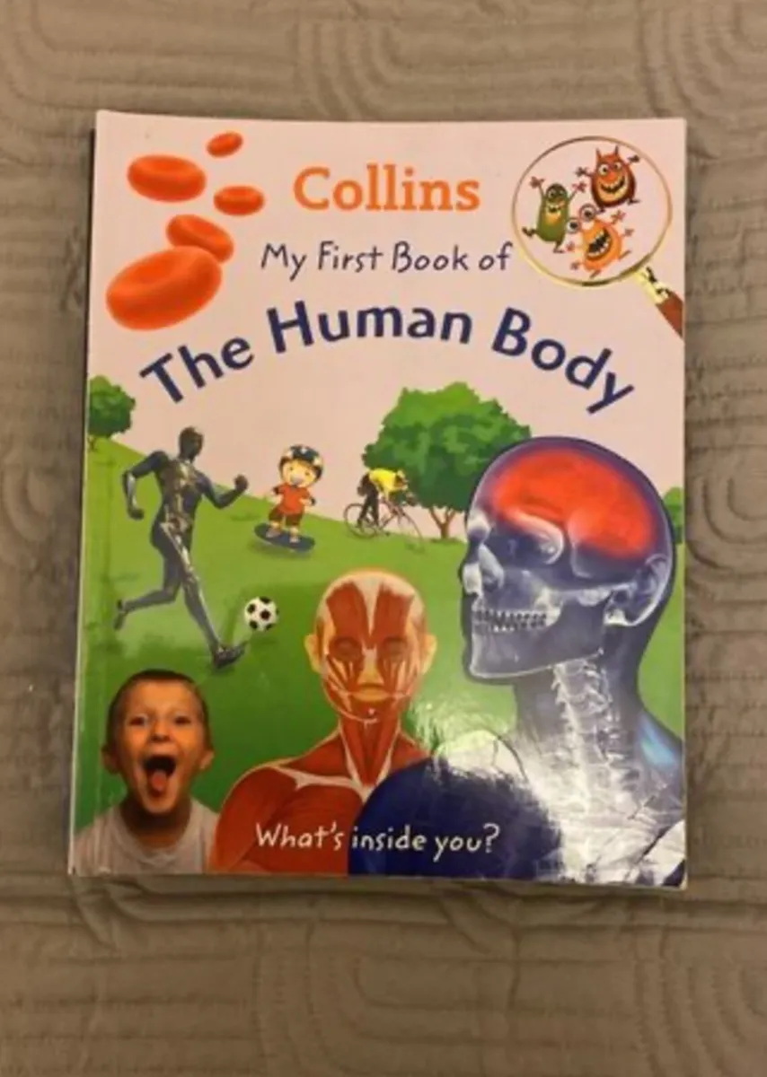 Collins My First Book of (7 books) - Image 3
