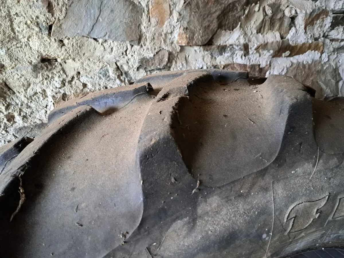 16.9 R34 Firestone Tyre - Image 2
