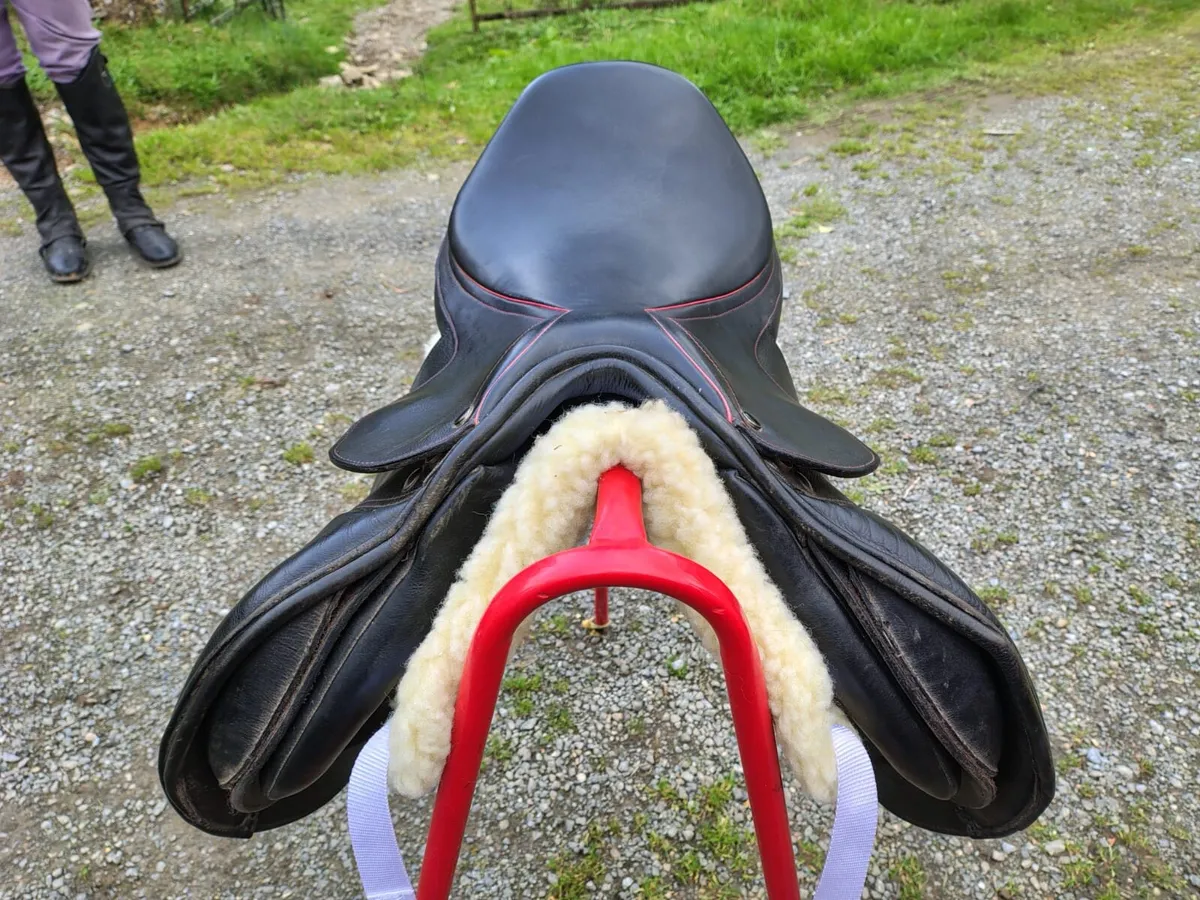 Alan Ward Saddle - Image 3