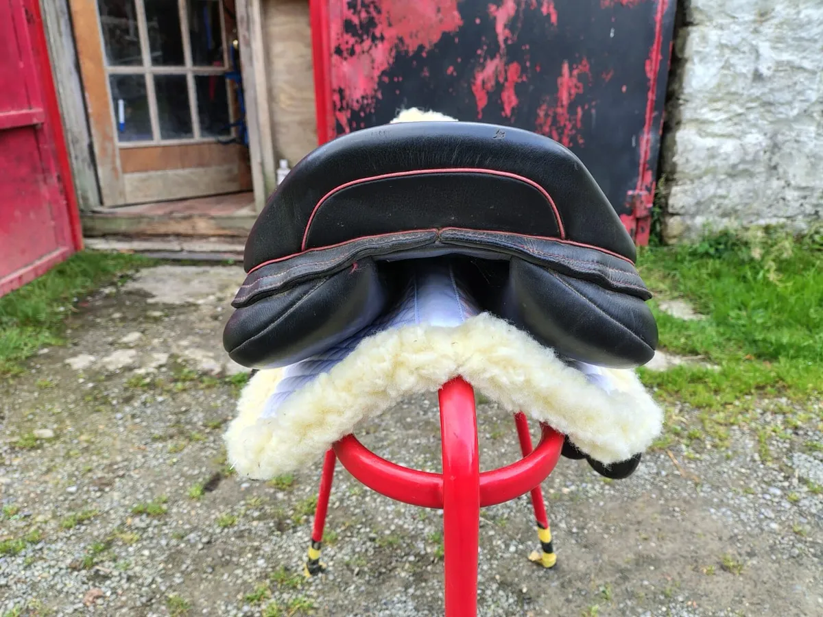 Alan Ward Saddle - Image 4