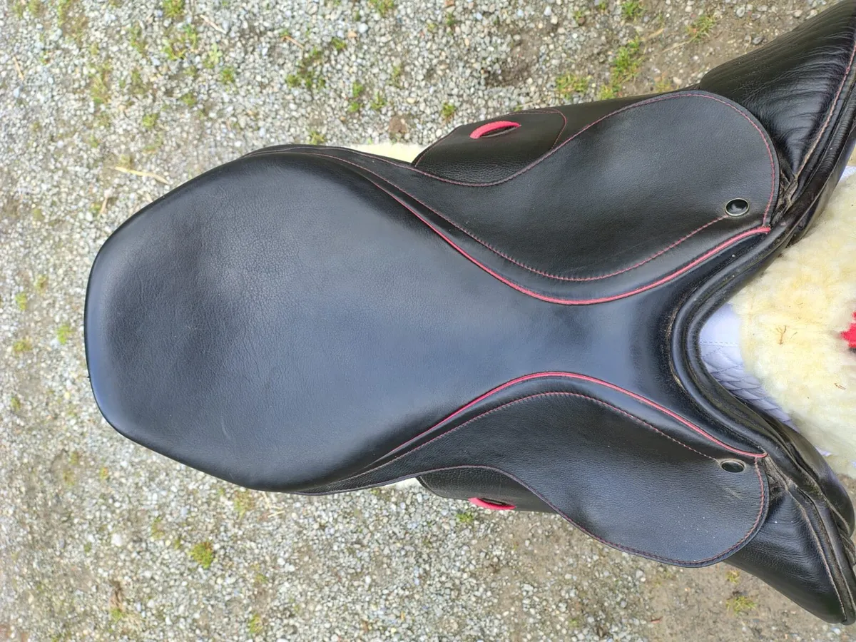 Alan Ward Saddle - Image 2