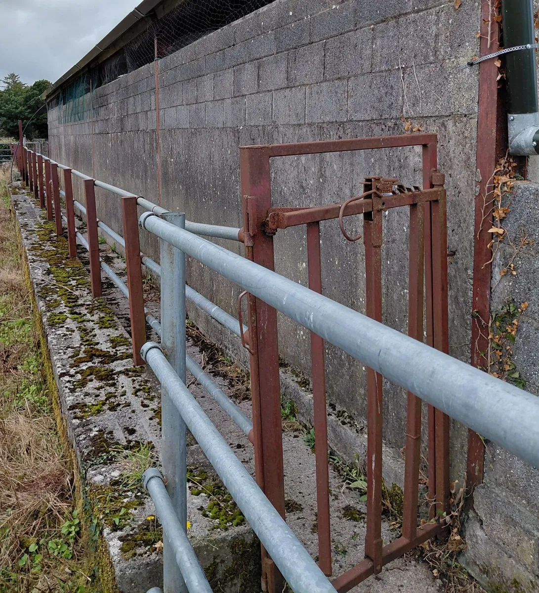 Slatted Shed for Rent - Galway - Image 4