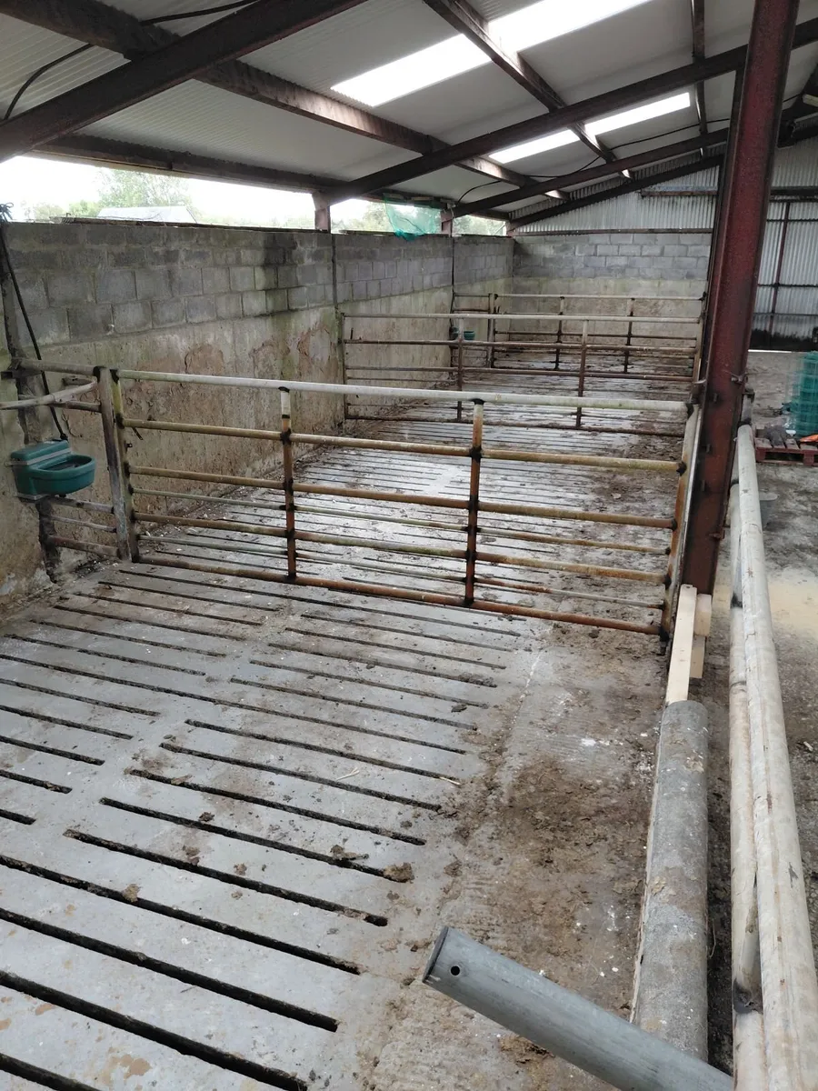 Slatted Shed for Rent - Galway - Image 1