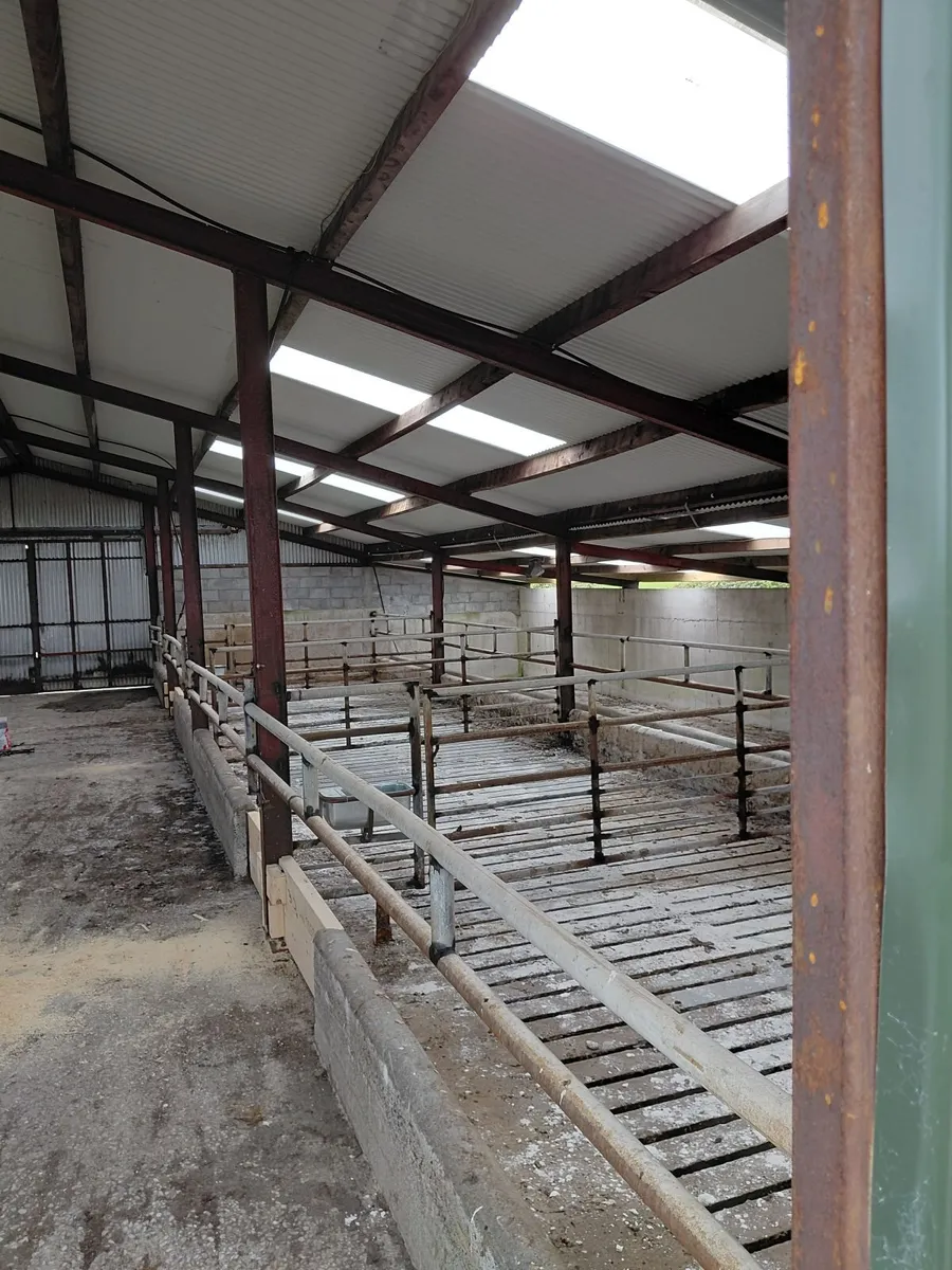 Slatted Shed for Rent - Galway - Image 2