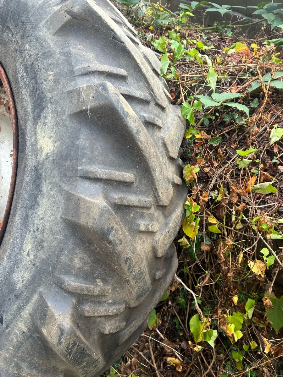 Rims - Image 2