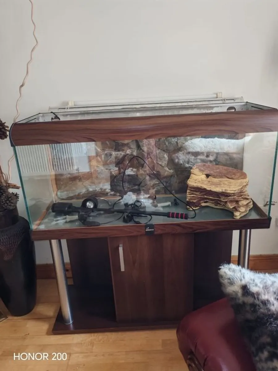 Aquarium  Fish Tank Setup 350 Euro - Image 1