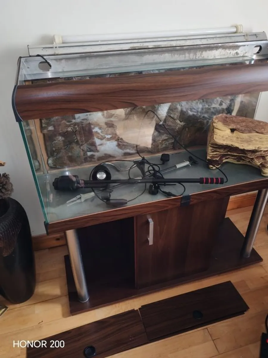 Aquarium  Fish Tank Setup 350 Euro - Image 2