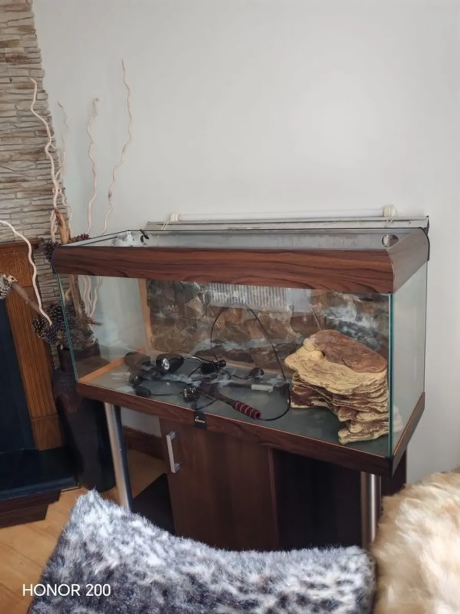 Aquarium  Fish Tank Setup 350 Euro - Image 3
